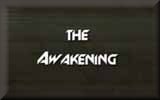 The Awakening - Divine Connections