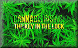 Cannabis Rising: The Key in the Lock