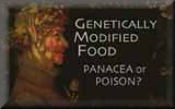 Genetically Modified Food: Panacea or Poison?