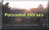 Poisoned Horses